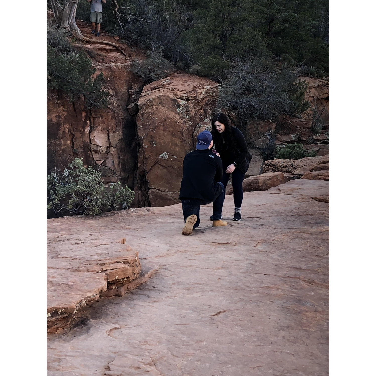 The proposal