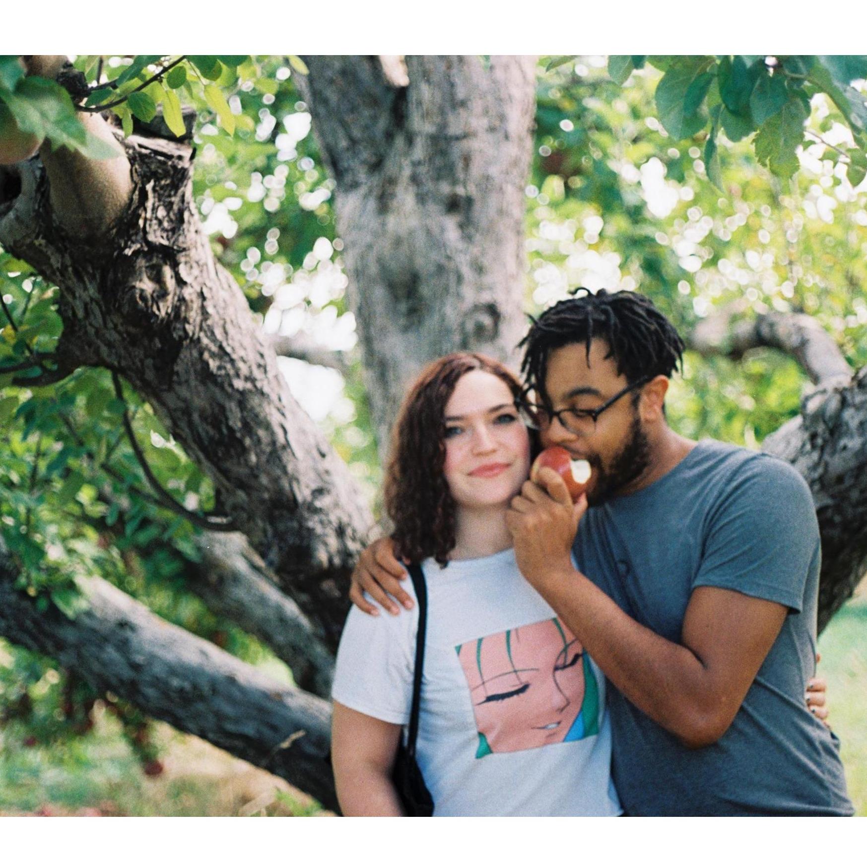 apple picking in upstate NY, October 2017