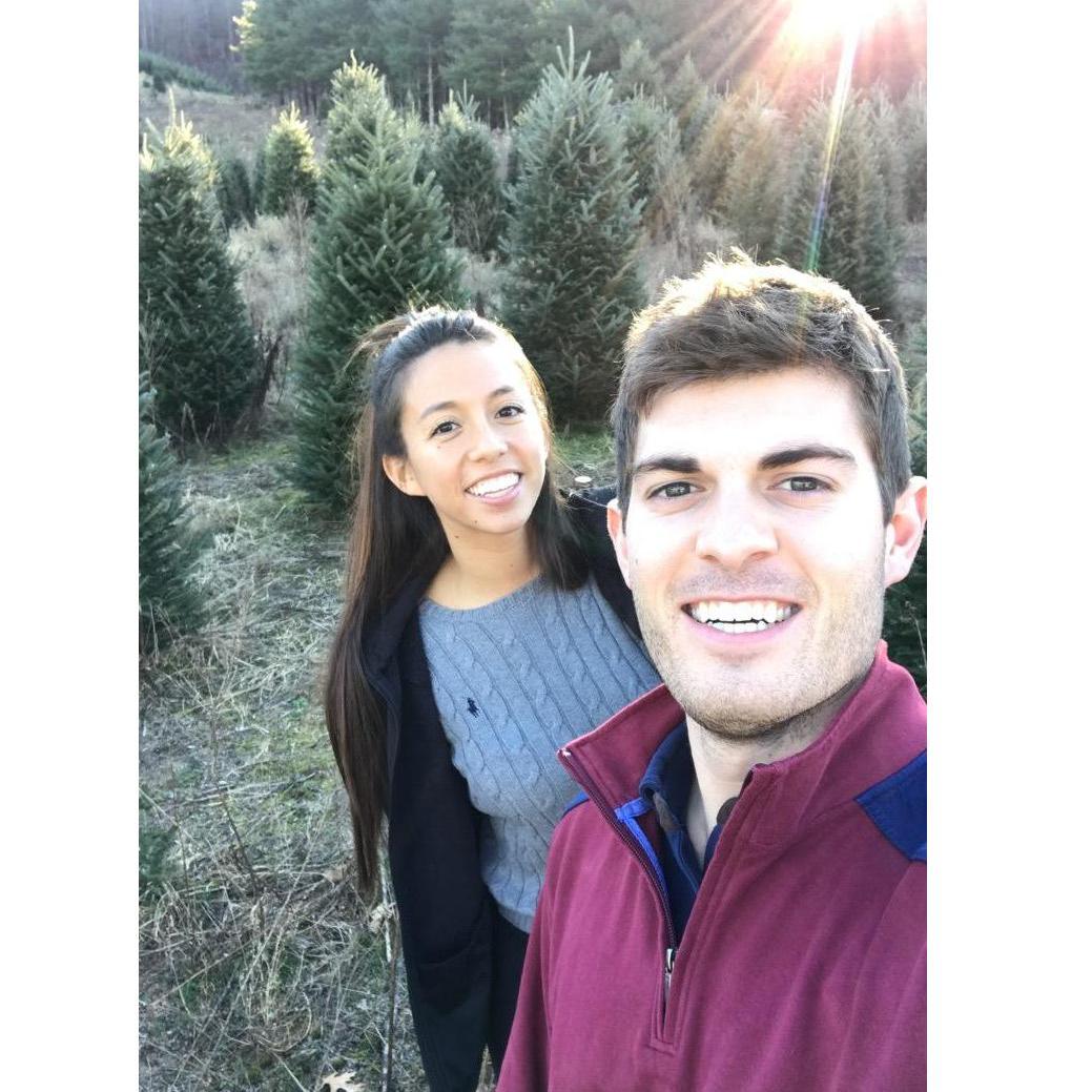 Picking christmas trees!