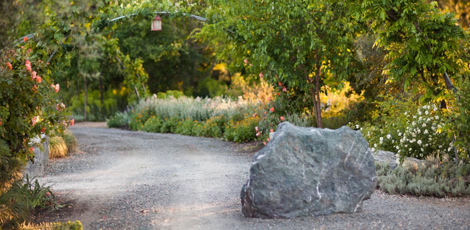 The Wedding Website of Morgan Cronin and Dan Goldman