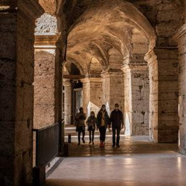 A guided tour of the Colosseum, Forum, and Palatine Hill