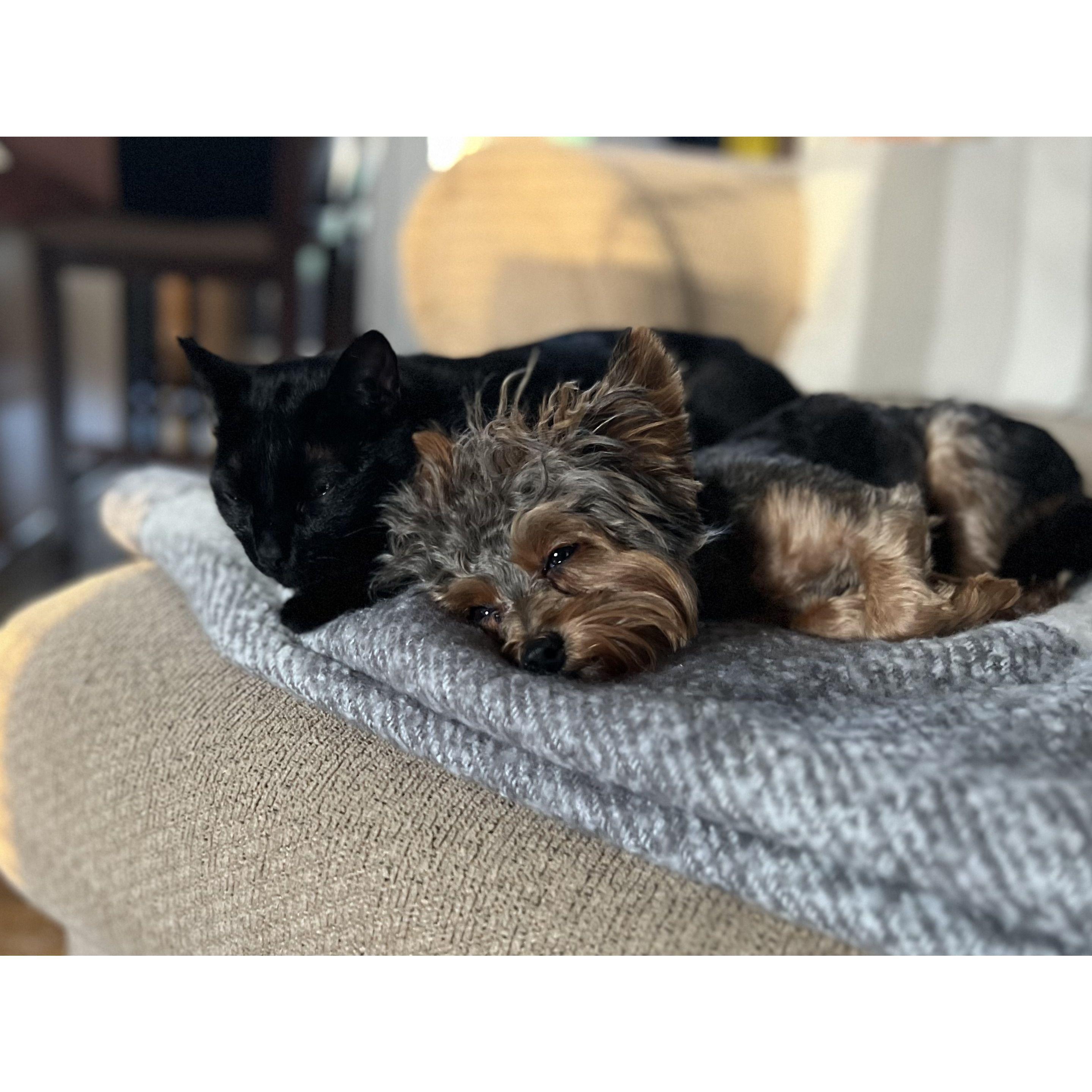 Best buds!