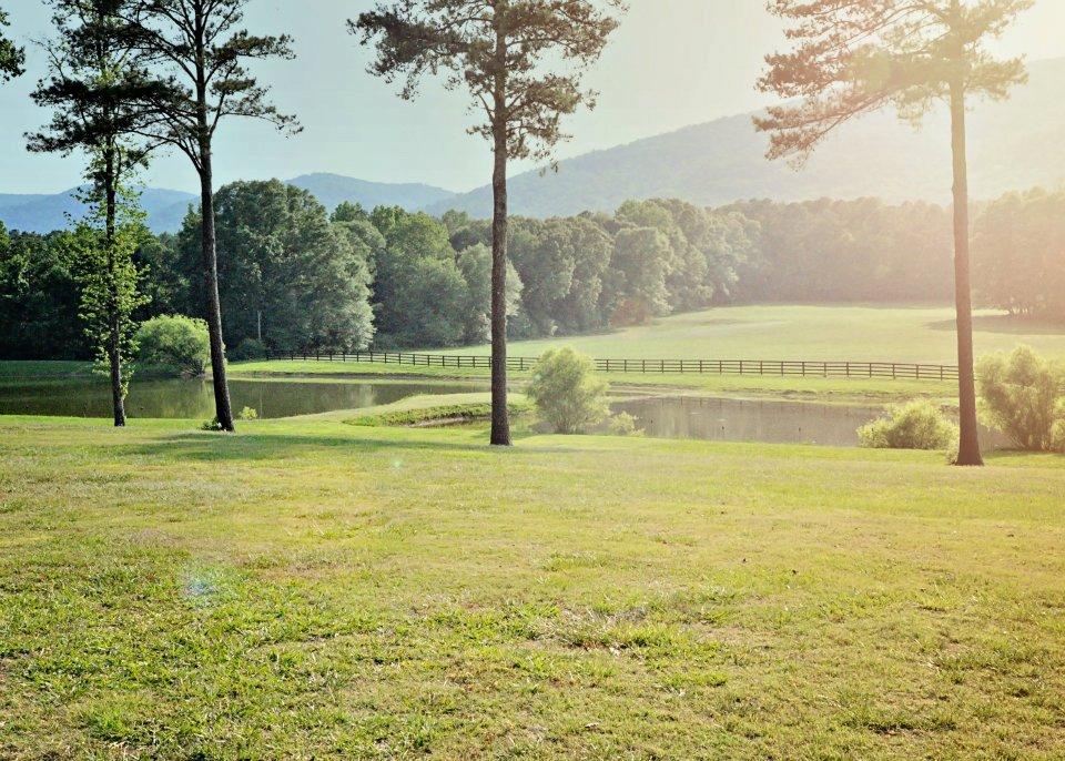 The Wedding Website of Carson White and Dawson Howle