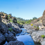 Lower Bidwell Park