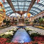Bellagio Conservatory & Botanical Gardens