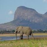 Gorongosa National Park