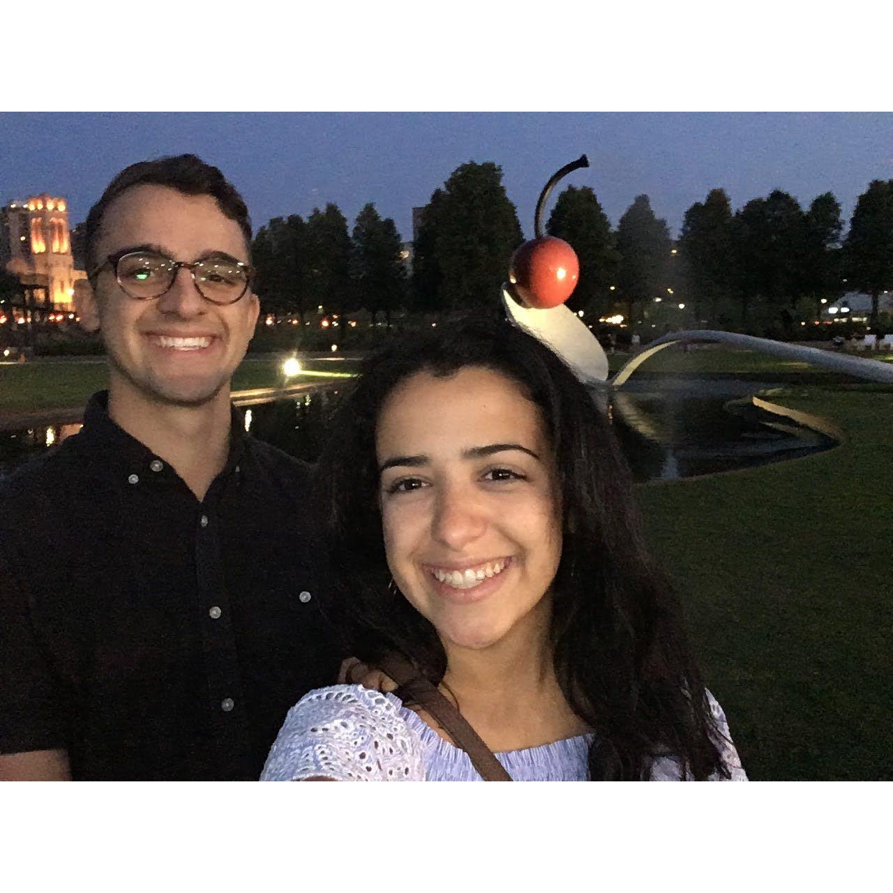 2018 - Minneapolis Sculpture Garden