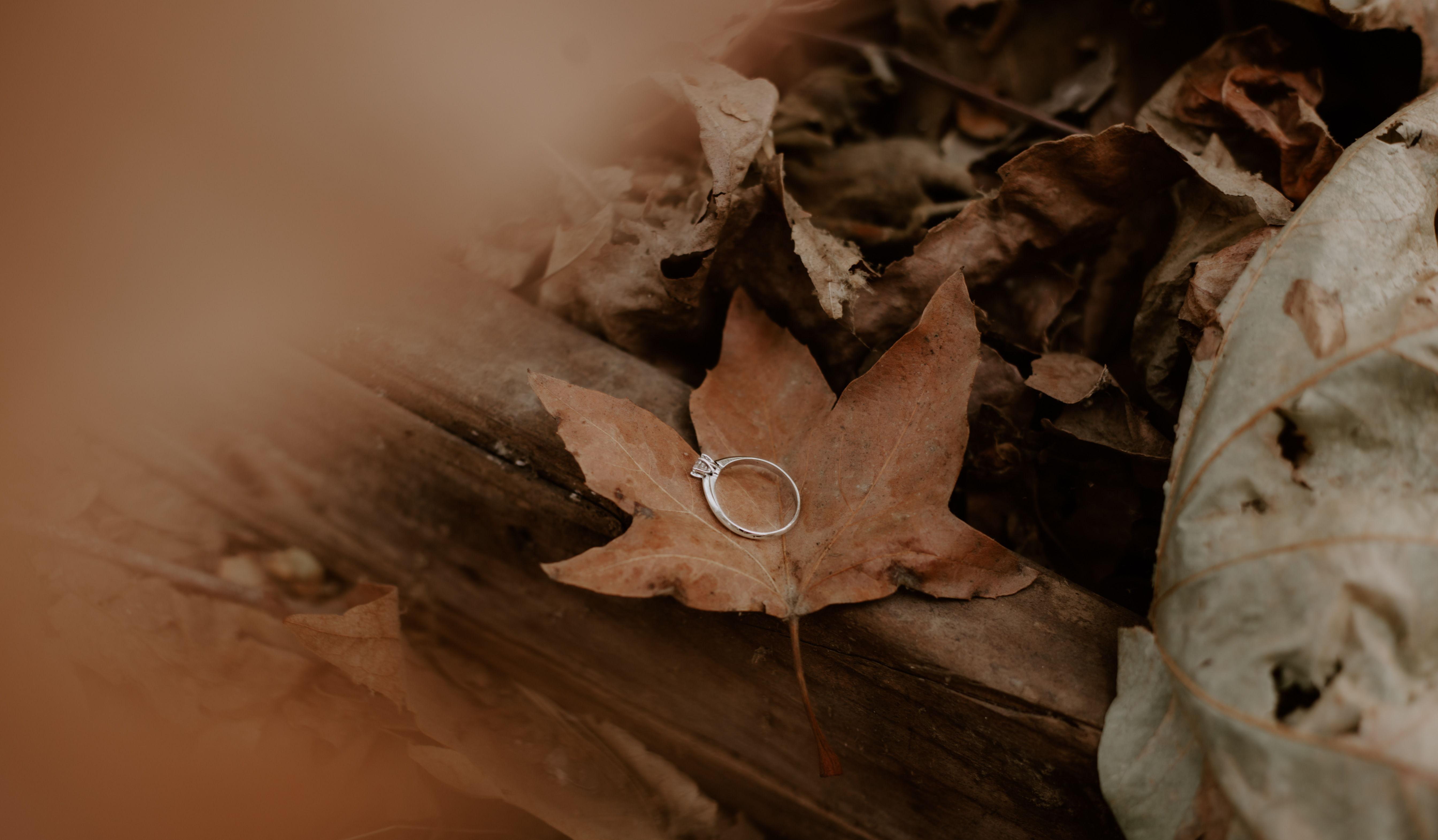 Hero Slideshow Image 2