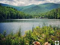 Vogel State Park Road