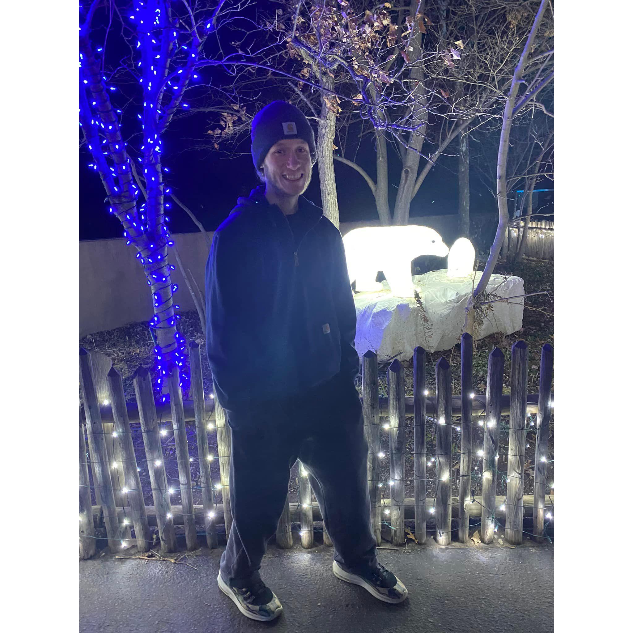 We had to see the polar bears at the Detroit Zoo lights