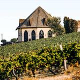Wine Tasting