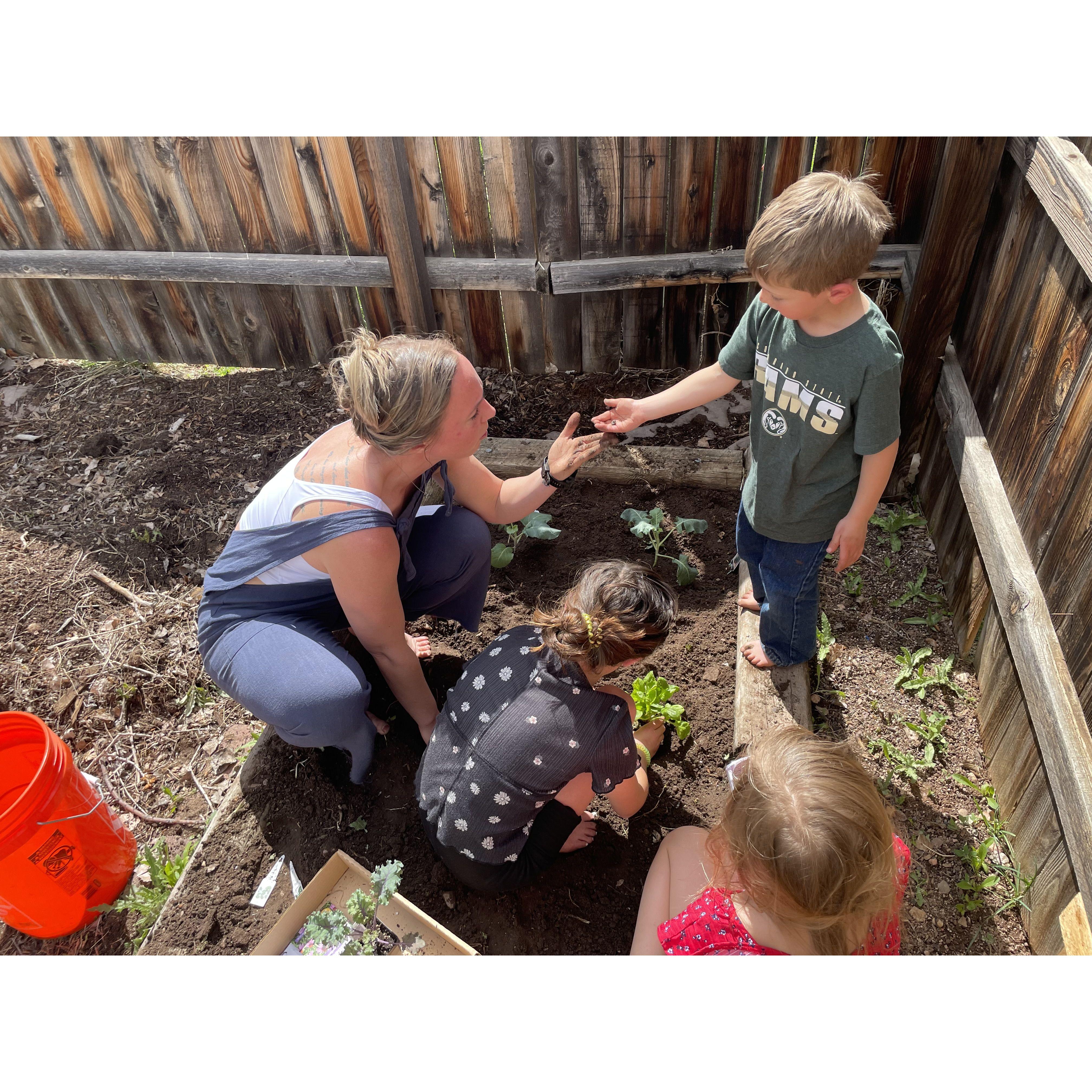 Piper, Logan, and Riley helping Colleen plant the garden. They planted broccoli, tomatoes, cucumbers, spinach, and lettuce.