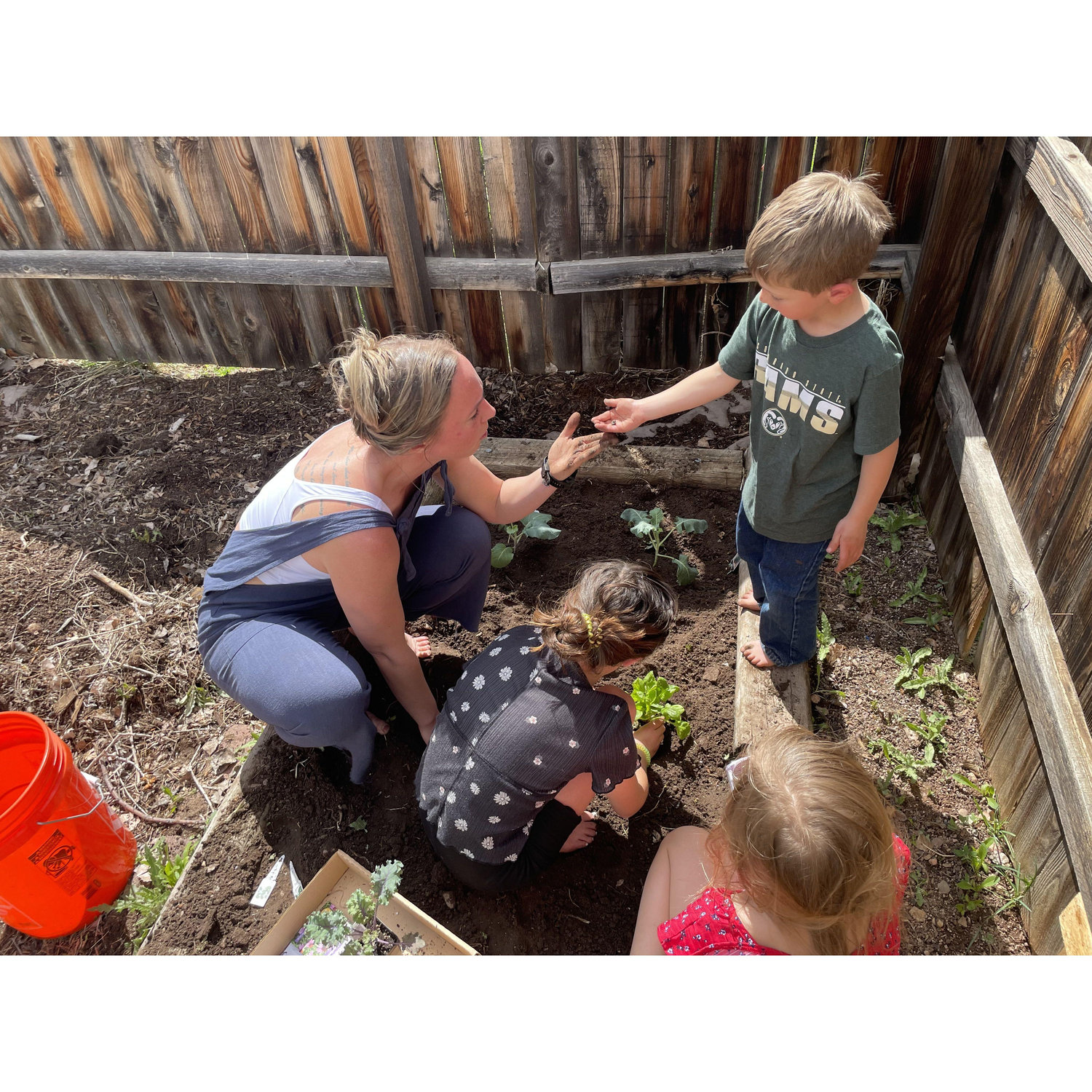 Piper, Logan, and Riley helping Colleen plant the garden. They planted broccoli, tomatoes, cucumbers, spinach, and lettuce.