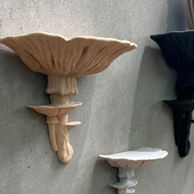 Amanita Fungus Mushroom Shelf | Floating Shelf | Standard Matte Decor | 20 Colors Available