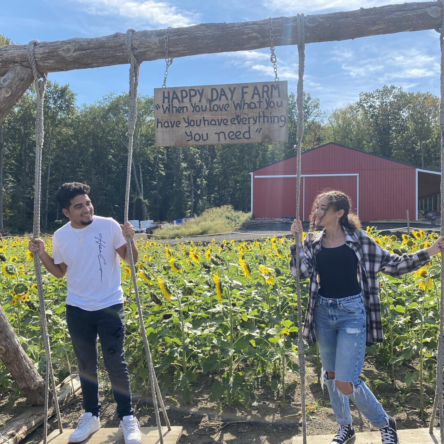 We <3 happy day farm!