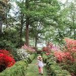 U.S. National Arboretum