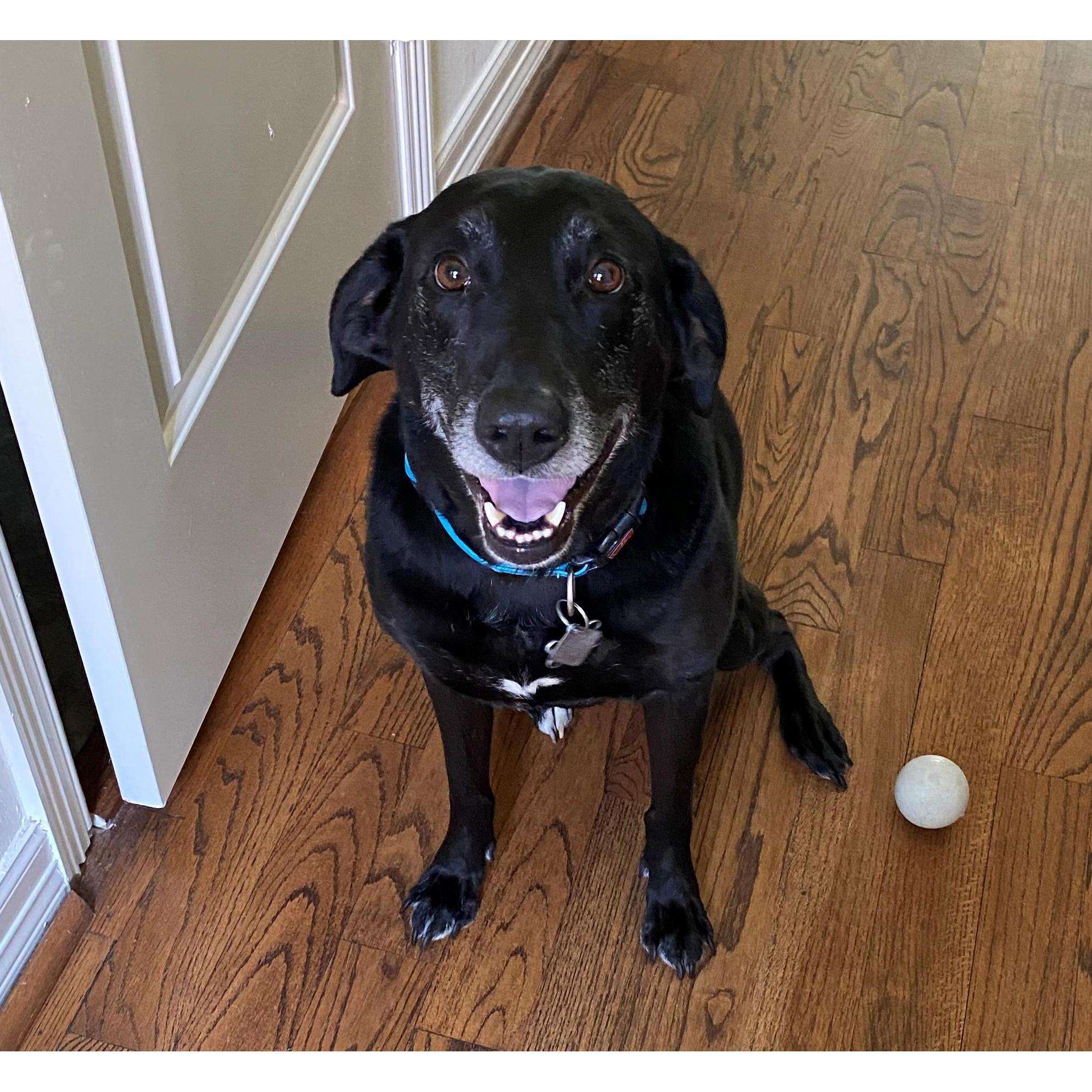 Meet Rhea and her favorite ball.