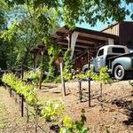 Pilot Peak Winery
