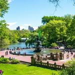 Central Park Conservancy