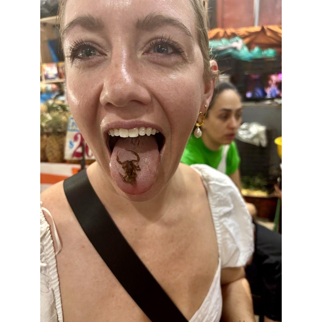 Plenty of insects to try. We tried crickets, ants, beetles, grubs and scorpions. Crickets tasted like ranch packets and the ants were a bit smoky.