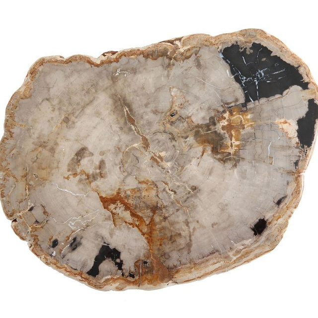 Fortessa Petrified Wood Serving Board, 20"