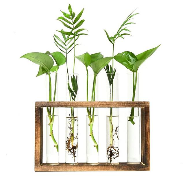 Vumdua Glass Planter Propagation Station, Test Tube Planter, Plant Terrarium Test Tube with Wood Stand for Propagating Hydroponic Plants Home Garden Decor (5 Test Tube)