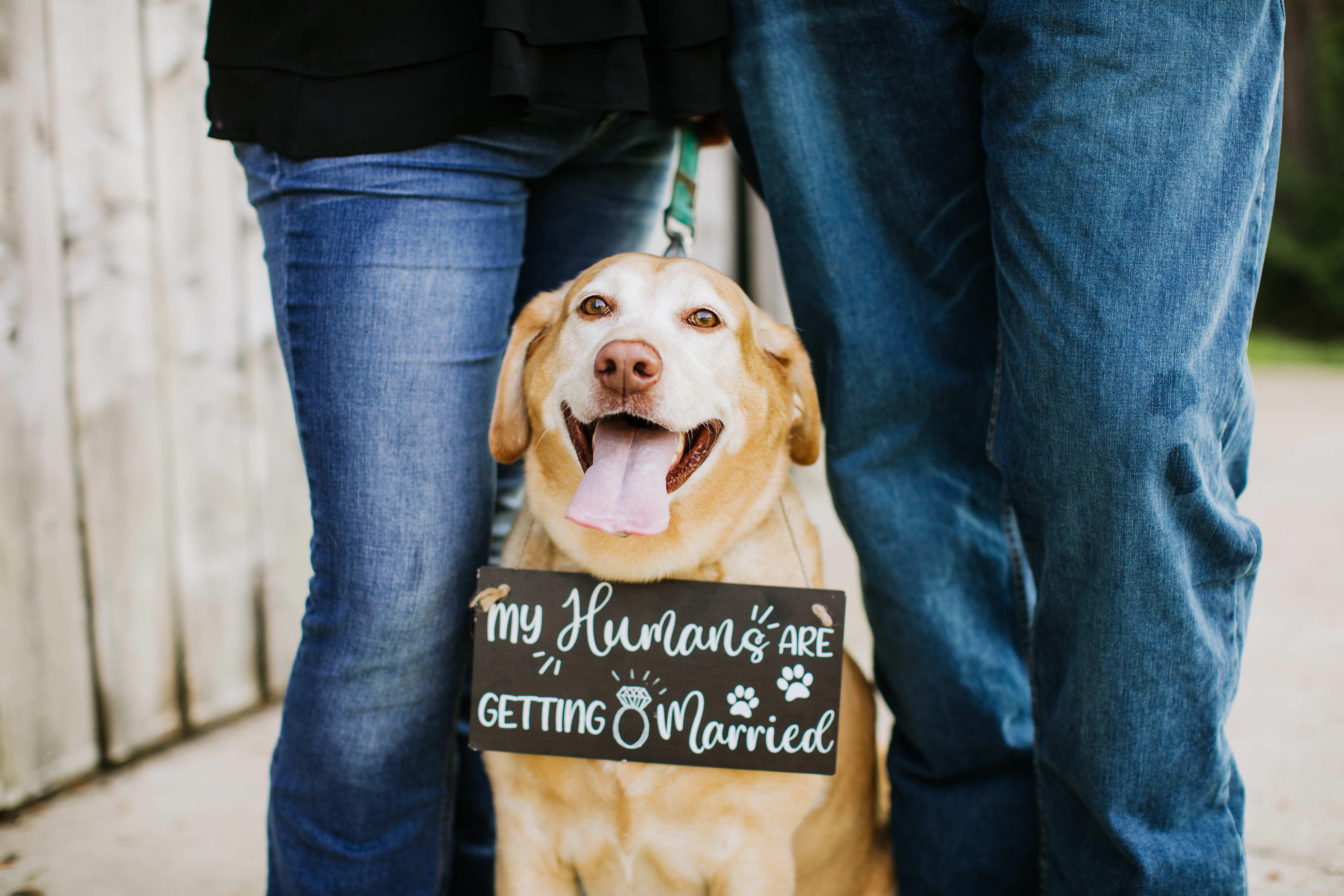 The Wedding Website of Krista Parrish and RJ Lam