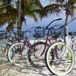 We Cycle | Key West Bike Rental (Old Town)
