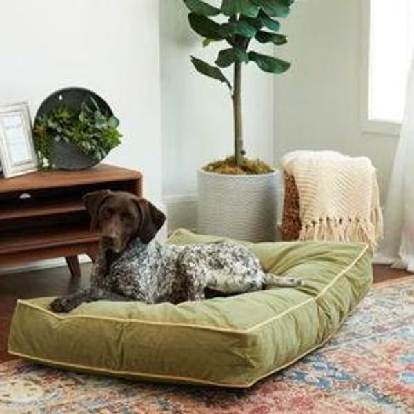 Happy Hounds Bailey Rectangle Pillow Dog Bed with Removable Cover