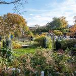 Queen Creek Botanical Gardens