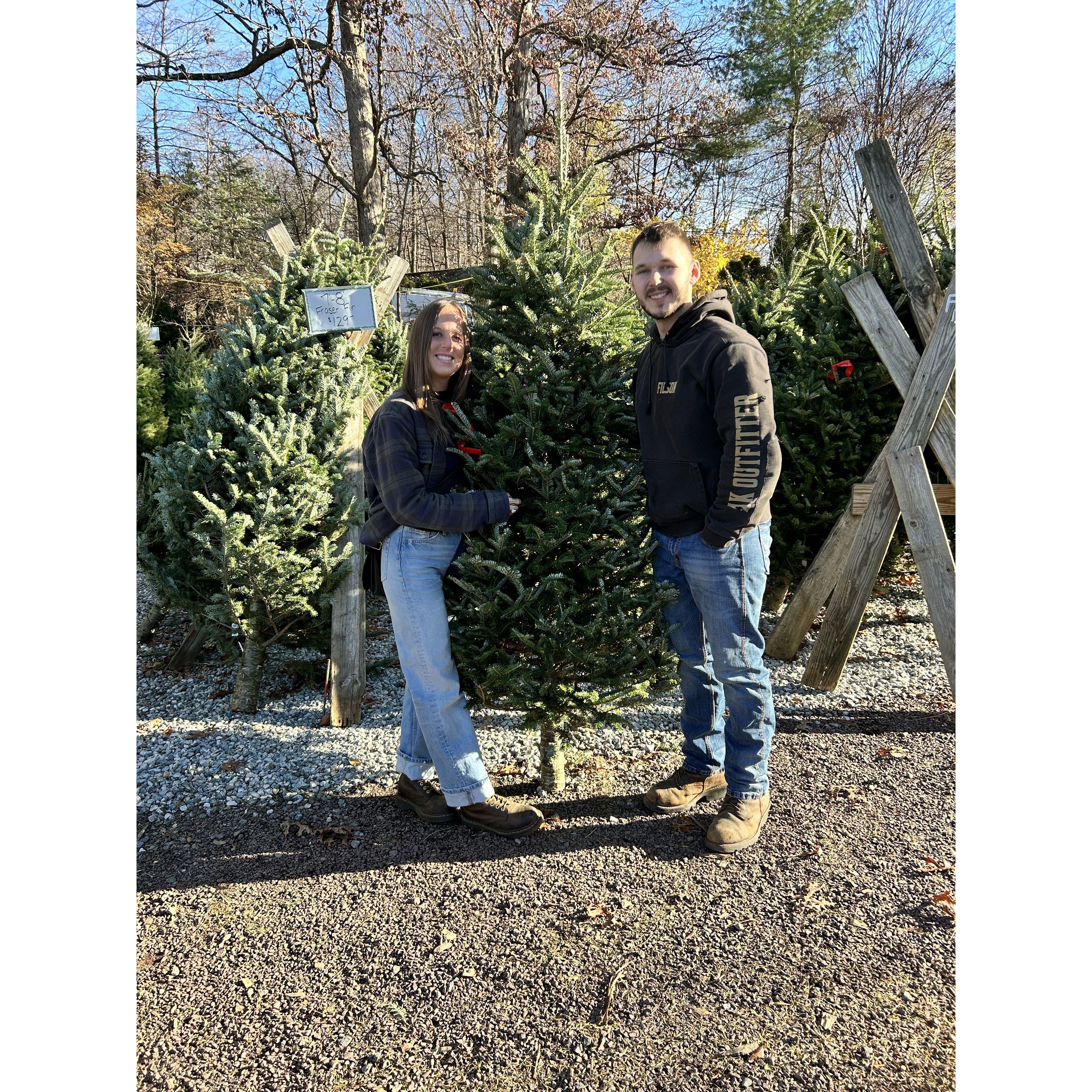 Our first Christmas tree in our first home!