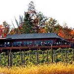 Robibero Winery