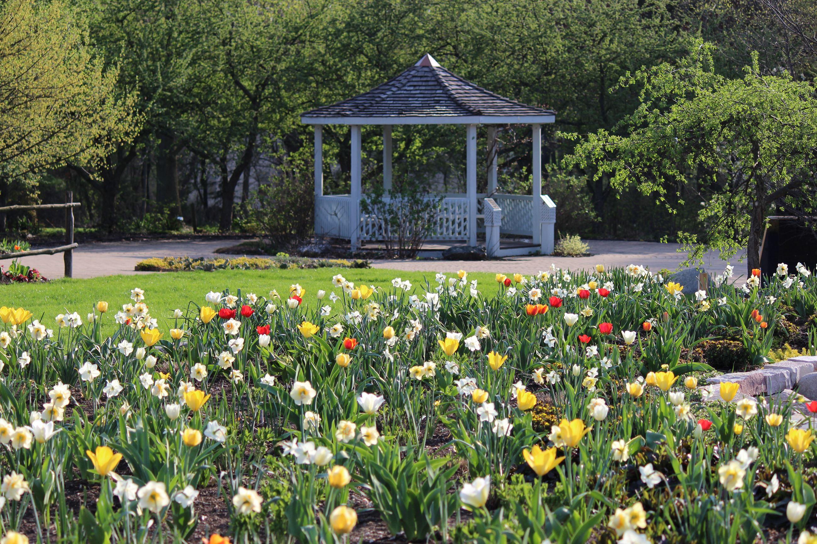 The Wedding Website of Sheyenne Loveland and Dalton Petersen