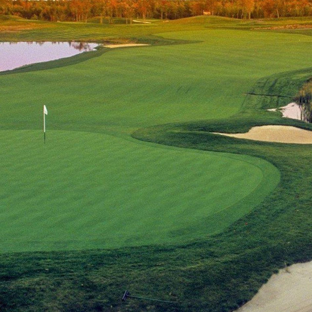 Golf for the Newlyweds