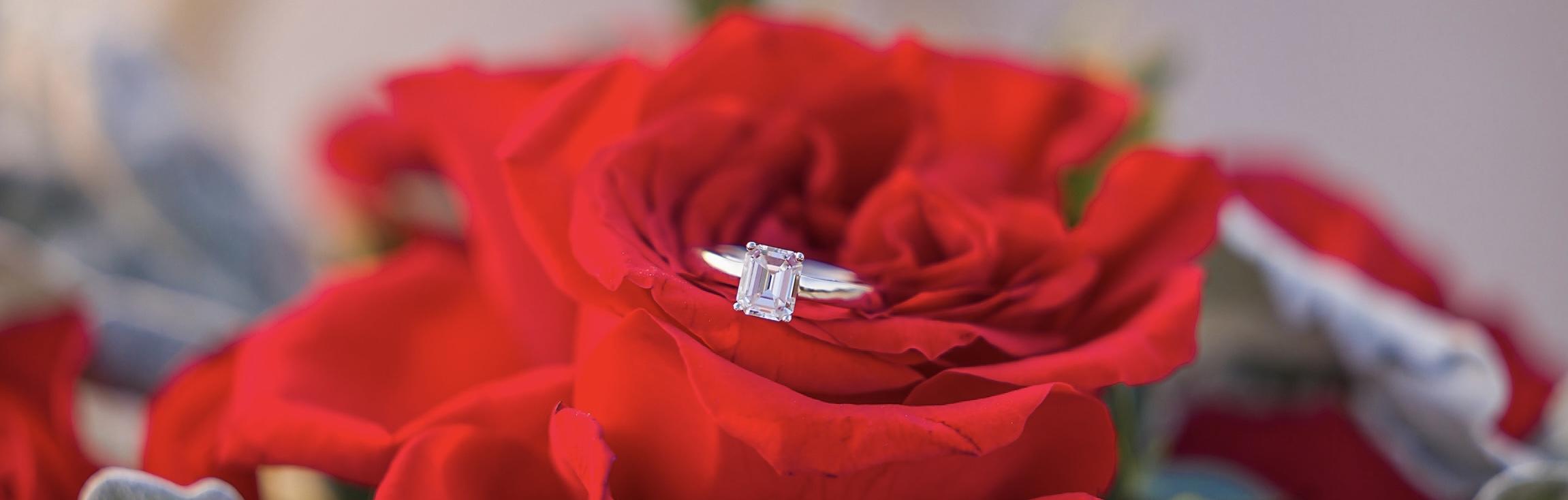 The Wedding Website of Santiago Quevedo and Keely Chacon