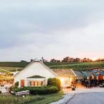Black Ankle Vineyards