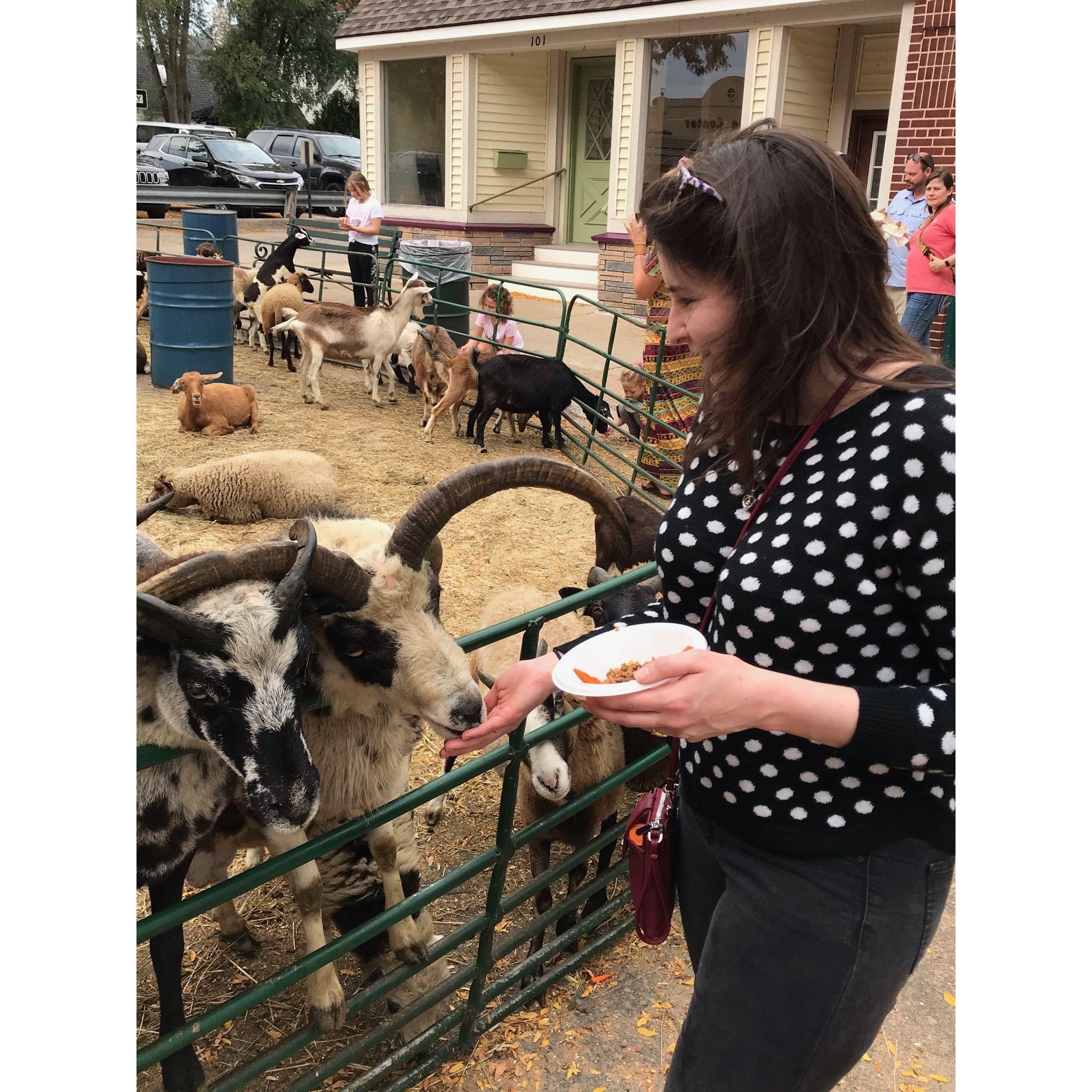 She touched a goat!