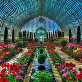 Como Park Zoo & Conservatory