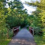 Huckleberry Trail