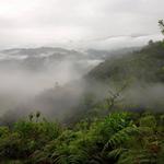 EcoLodge Kasaguadua