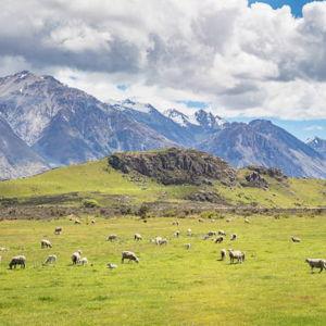 Our Honeymoon in New Zealand