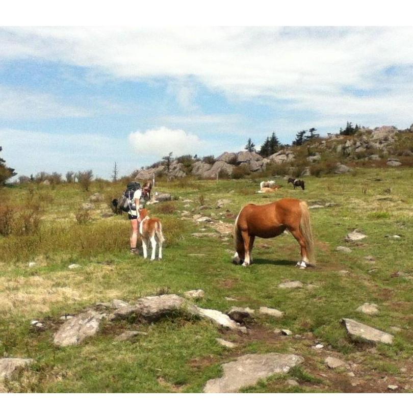 May 2012
Grayson Highlands