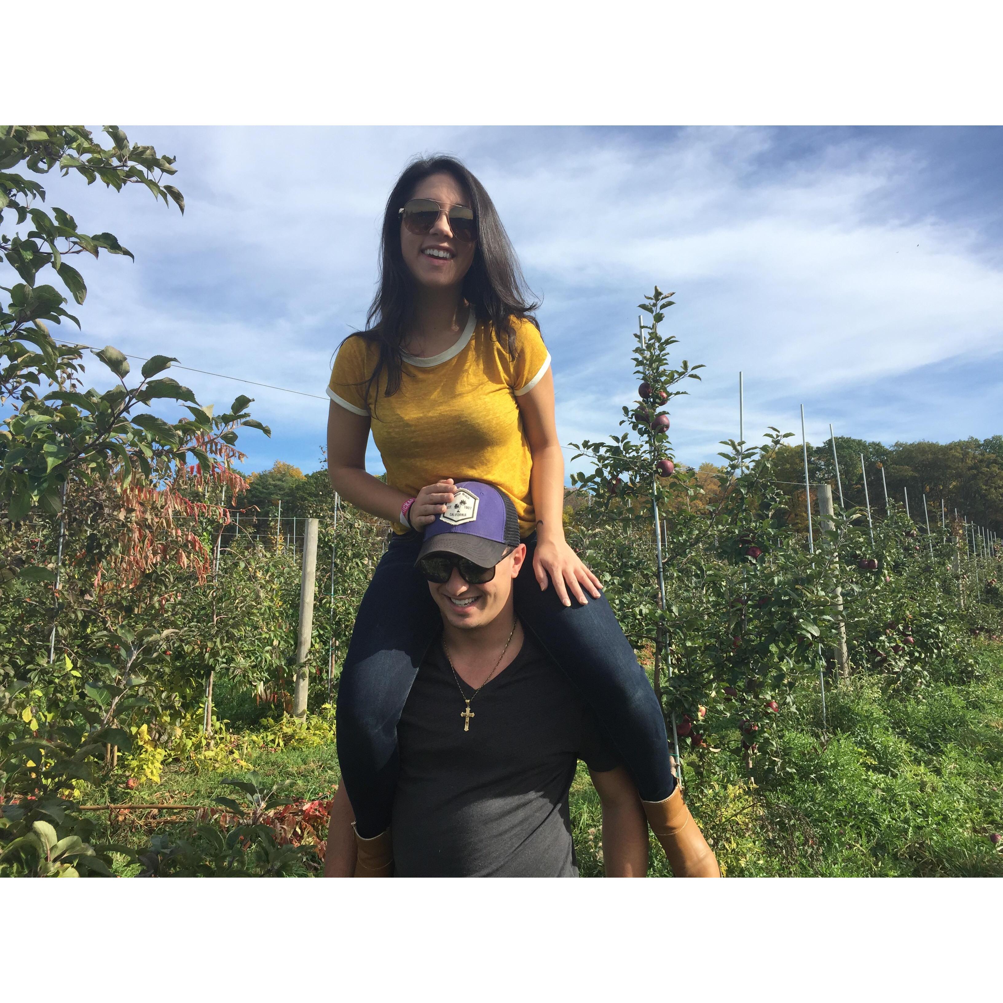 Apple Picking :)