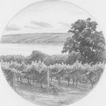Keuka Lake Wine Trail