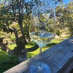 Fallbrook Winery