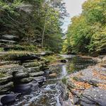 Little Rocky Glen Preserve