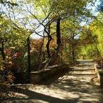Arbor Hills Nature Preserve