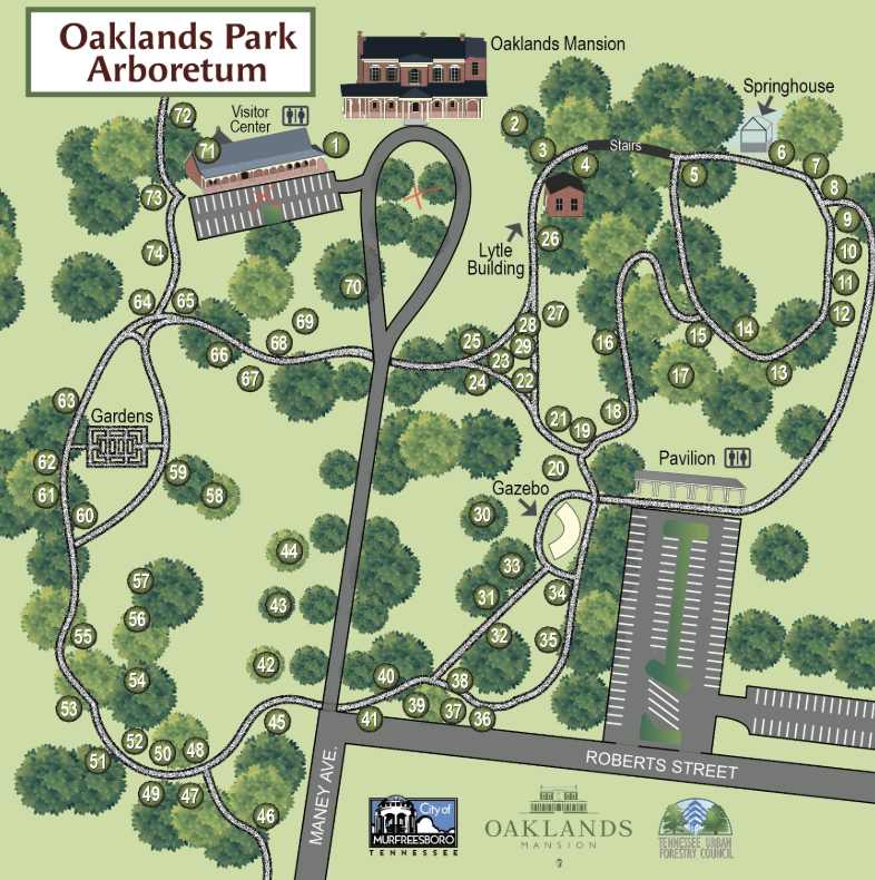 The Wedding Website of Thea Cole and Jerrell Williams