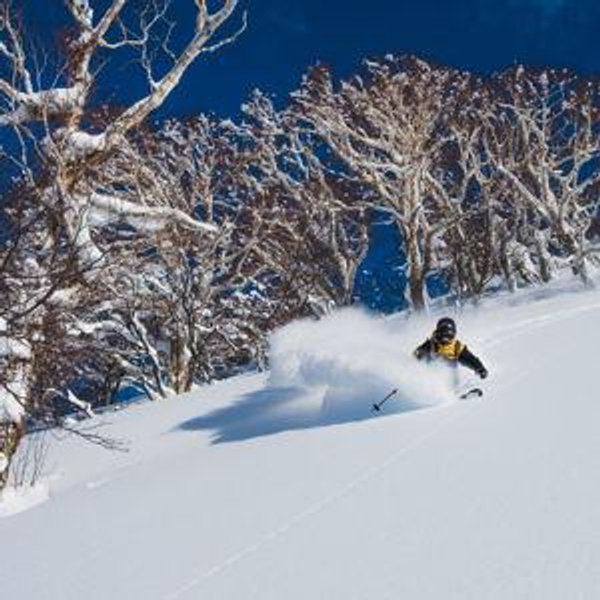 Honeymoon Ski Trip to Japan