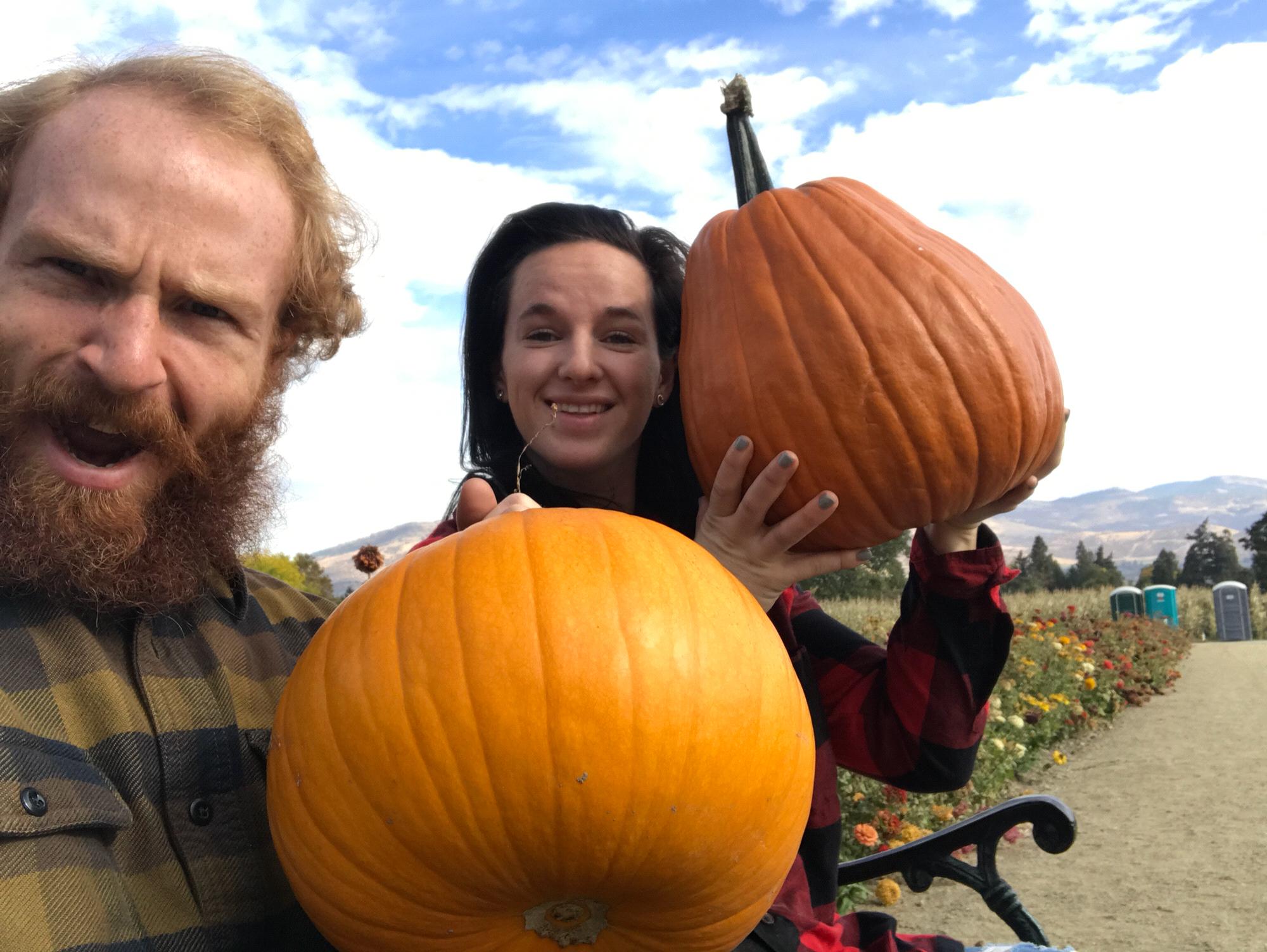 Looking for the perfect pumpkin